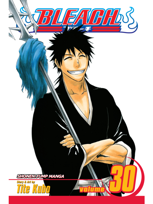 Title details for Bleach, Volume 30 by Tite Kubo - Wait list